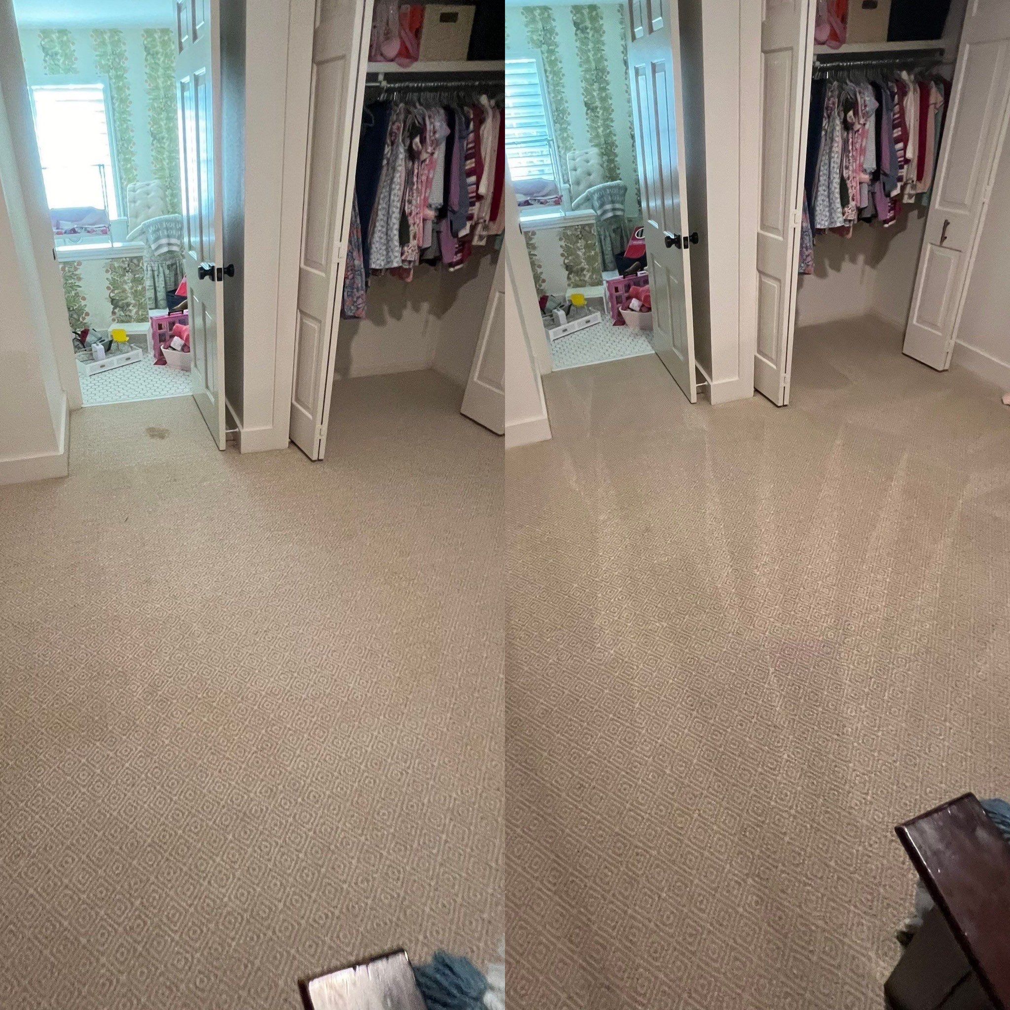 Exceptional Carpet Cleaning Service Project in San Antonio TX 78209