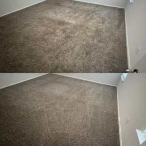 Exceptional Carpet Cleaning Service Project in San Antonio TX 78253