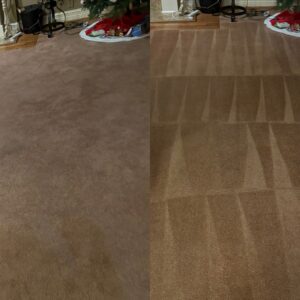 Incredible Carpet Cleaning Service Project in San Antonio TX 78209