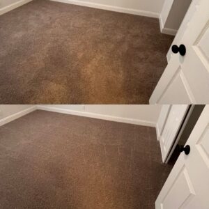 Thorough Carpet Cleaning Service Project in San Antonio TX 78220