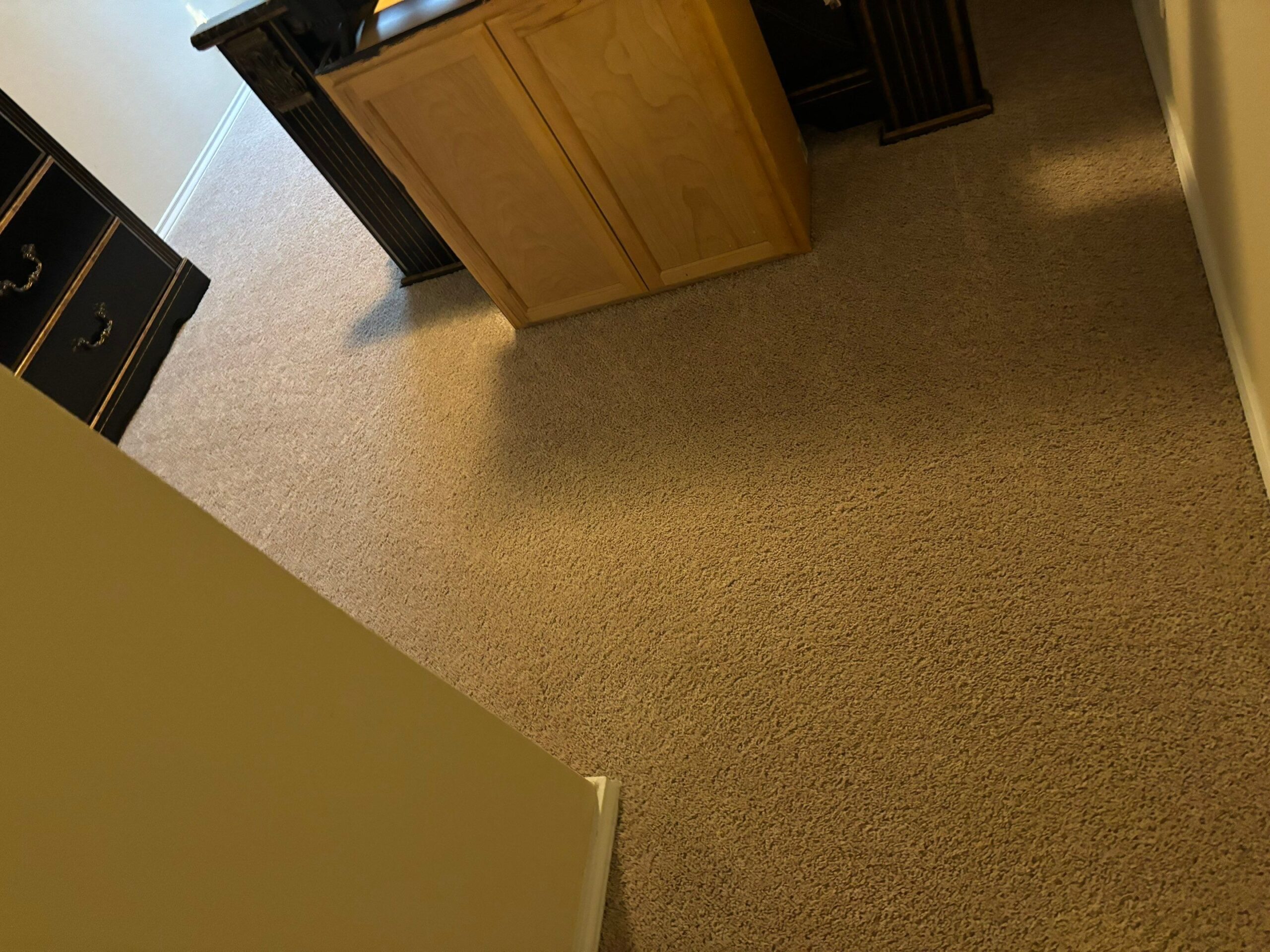 Expert Carpet Cleaning Services Project in San Antonio TX 78253