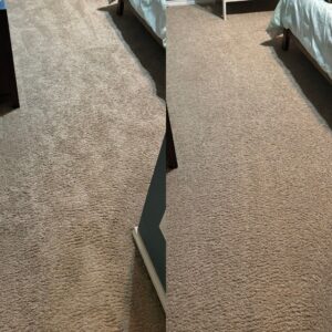 Impressive Carpet Restoration Project in Schertz TX 78154