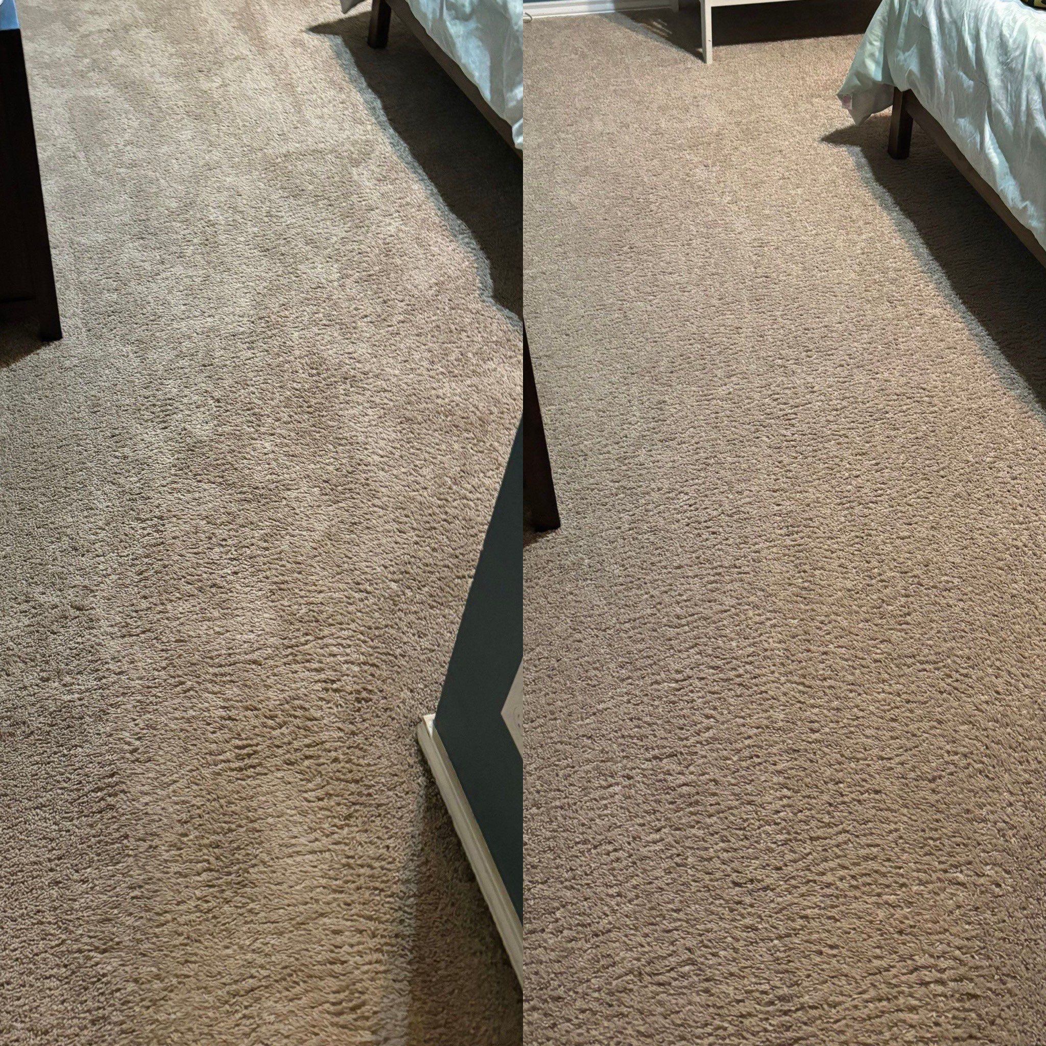 Impressive Carpet Restoration Project in Schertz  TX 78154