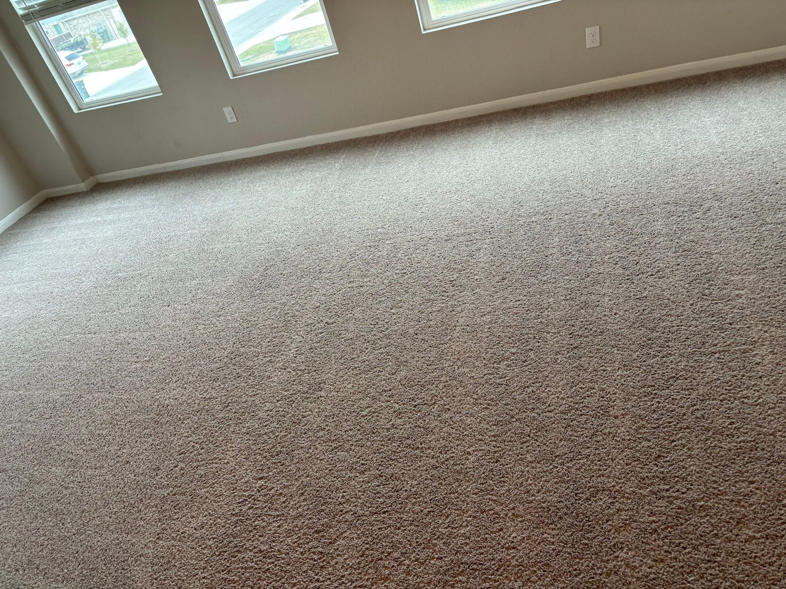 Expert Carpet Cleaning Service Project in New Braunfels TX 78130