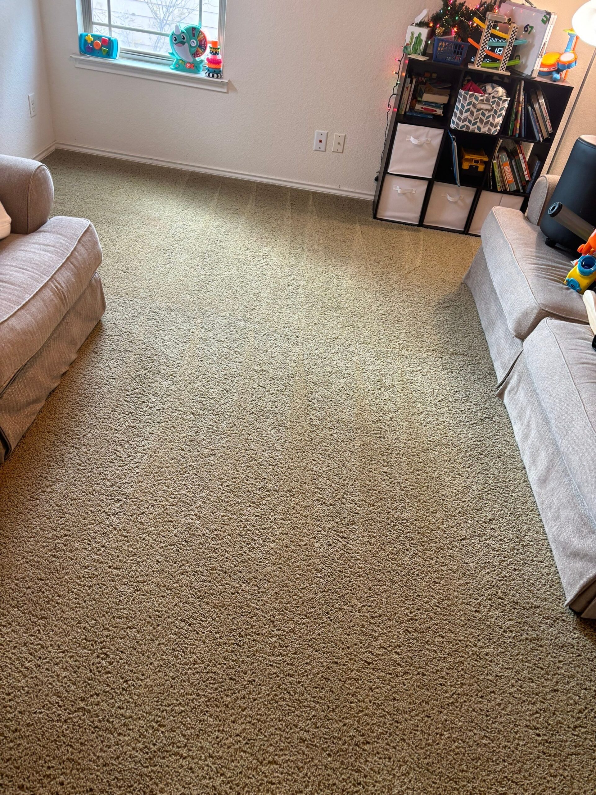 Regular Carpet Cleaning Service Project in San Antonio TX 78245