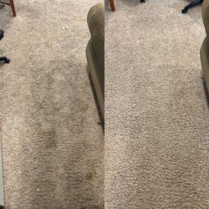 Deep Carpet Restoration Project in San Antonio TX 78239