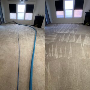 Expert Carpet Cleaning Service Project in San Antonio TX 78249