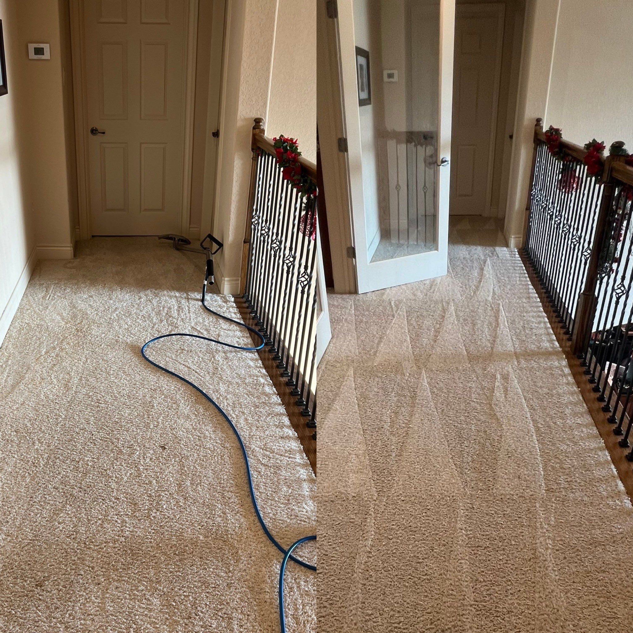 Superior Carpet Cleaning Project in San Antonio TX 78258