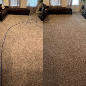 Expert Carpet Cleaning Service Project in Schertz TX 78154