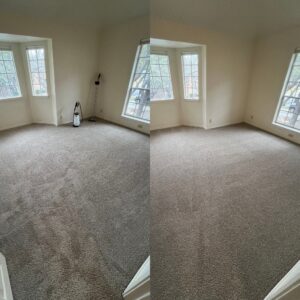 Exceptional Carpet Cleaning Service Project in San Antonio TX 78232