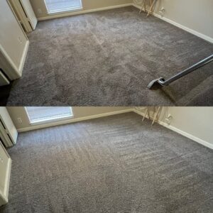 Incredible Carpet Steam Cleaning Project in San Antonio TX 78247