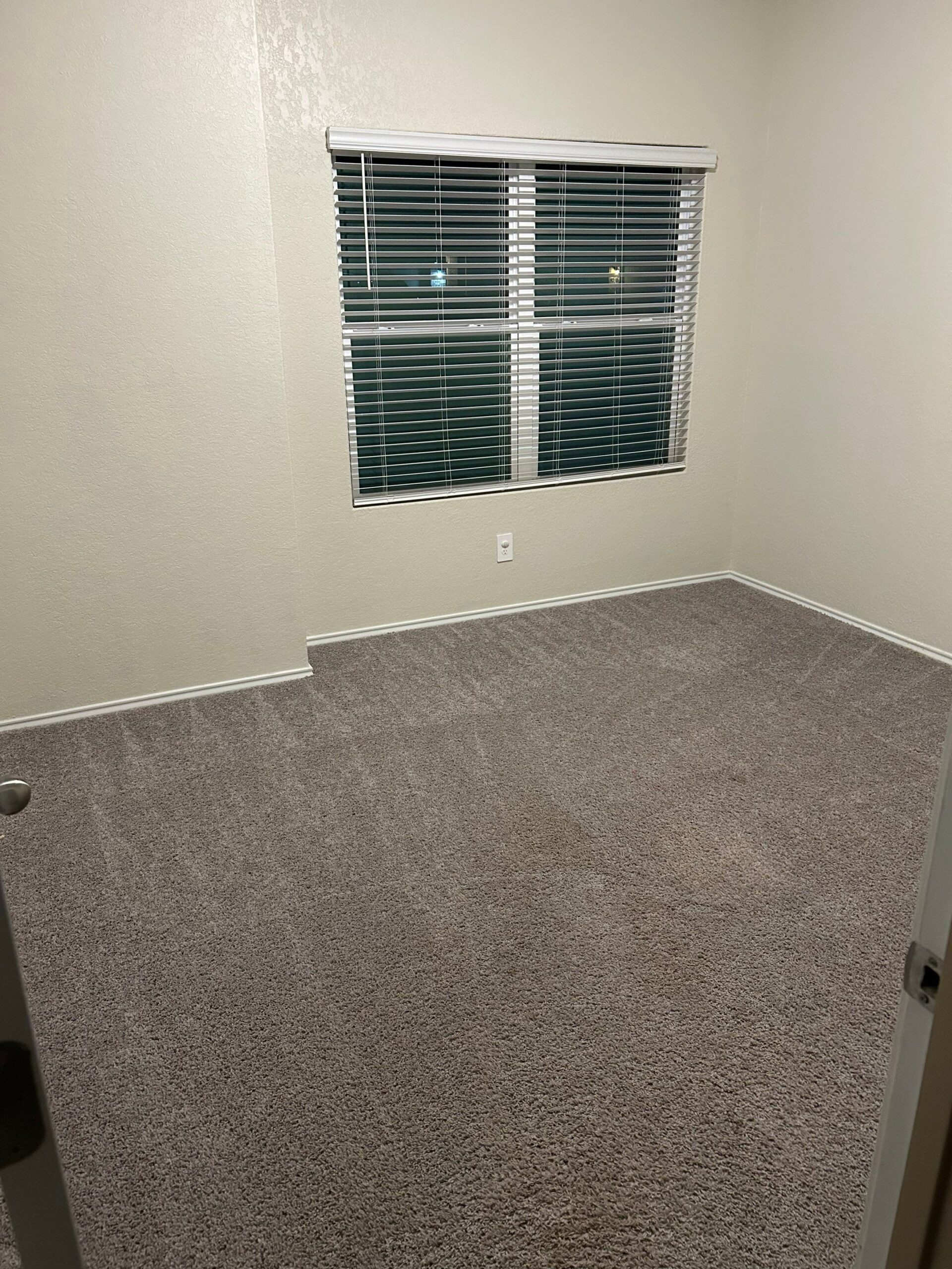 Remarkable Carpet Cleaning Project in Saint Hedwig TX 78152