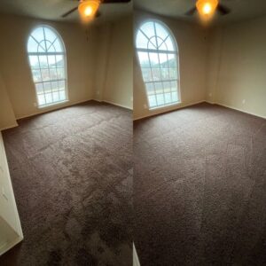 Expert Carpet Cleaning Restoration Project in Cibolo TX 78108