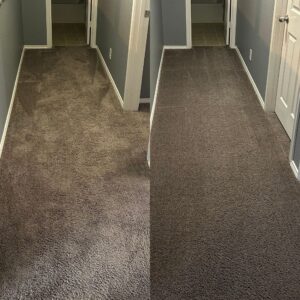 Incredible Carpet Cleaning Project in San Antonio TX 78253