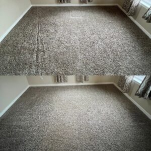 Expert Carpet Cleaning Service Project in San Antonio TX 78239