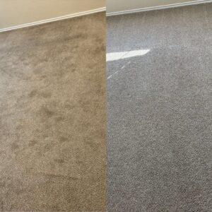 Remarkable Carpet Steam Cleaning Project in San Antonio TX 78239