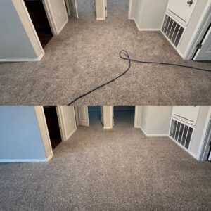 Thorough Carpet Cleaning Service Project in Converse TX 78109