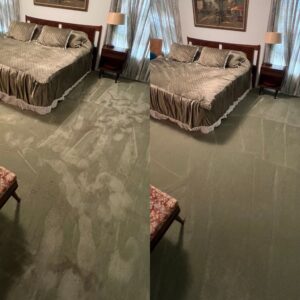 Exceptional Carpet Steam Cleaning Project in San Antonio TX 78216