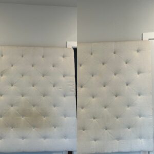 Exceptional Upholstery Cleaning Project in San Antonio TX 78253