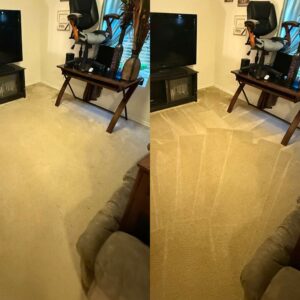 Professional Carpet Cleaning Service Project in San Antonio TX 78222