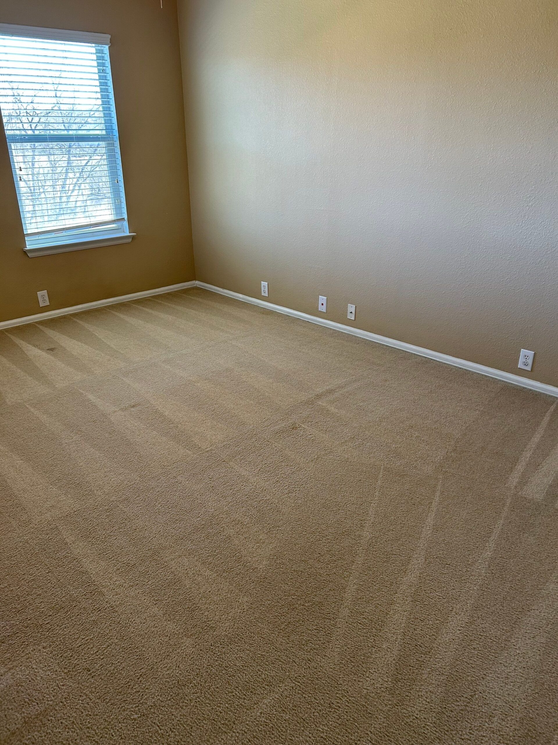 Exceptional Carpet Steam Cleaning Project in San Antonio TX 78217