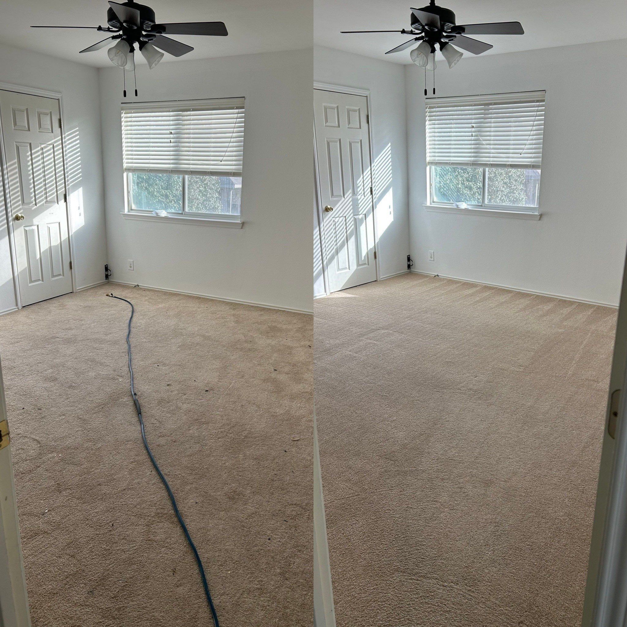 Expert Carpet Cleaning Service Project in Cibolo TX 78108