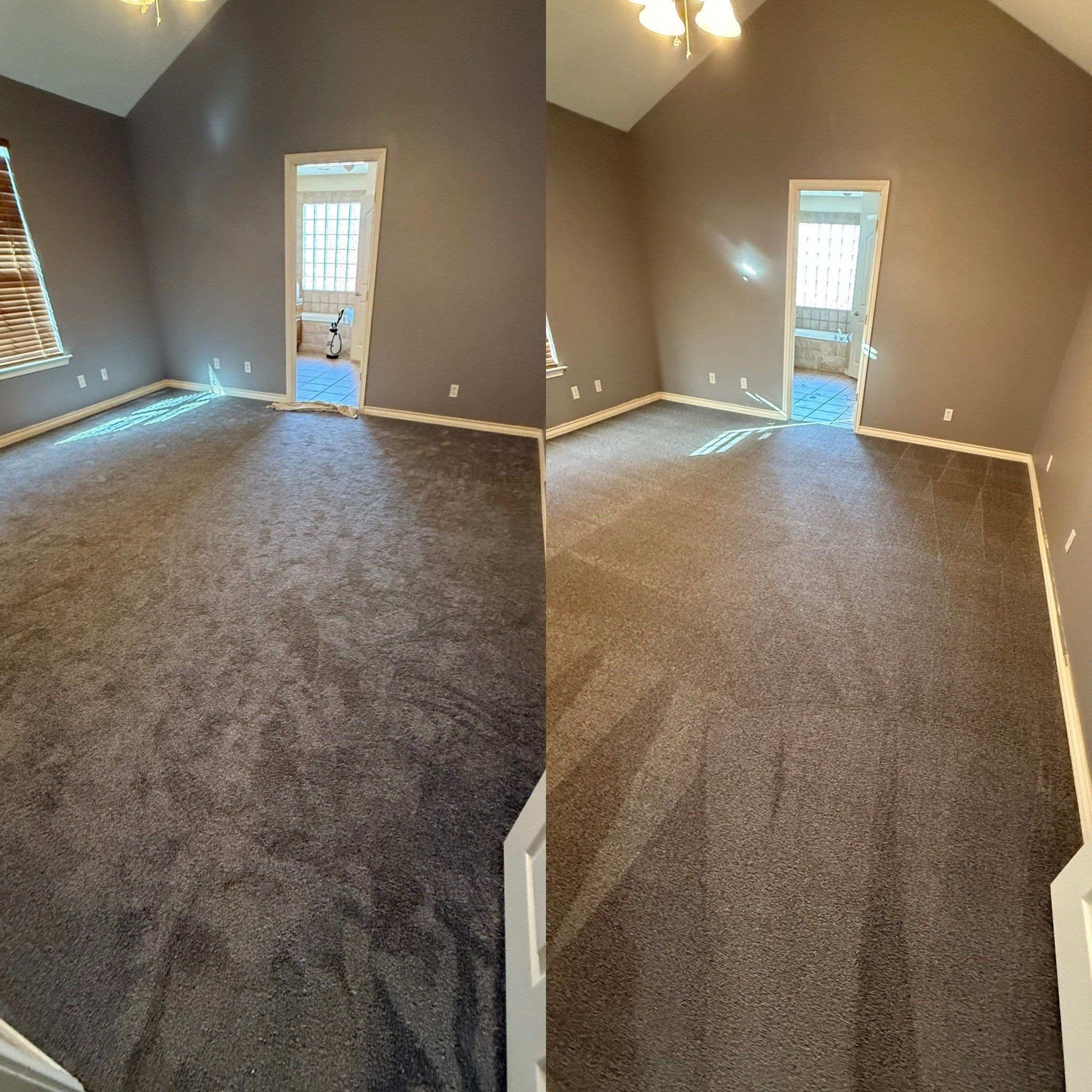 Carpet Cleaning For Pet Stain Removal